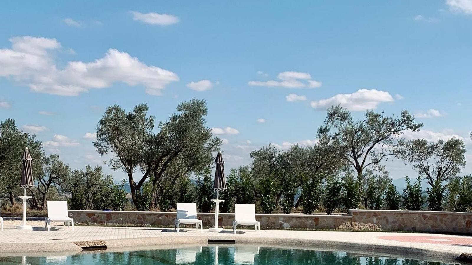Borgo Olivo