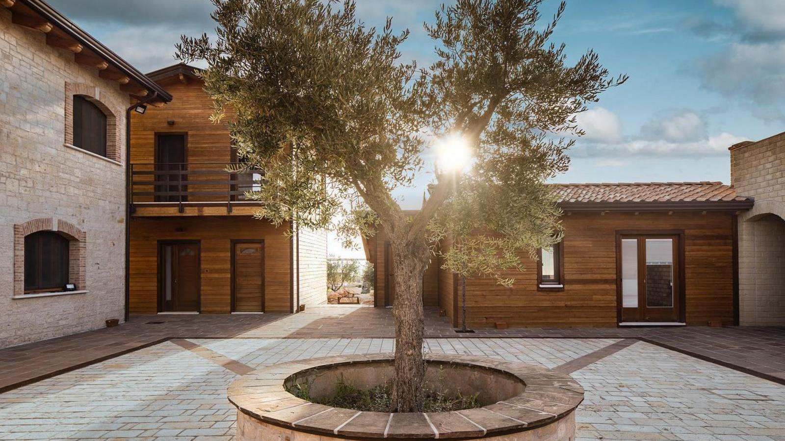 Borgo Olivo