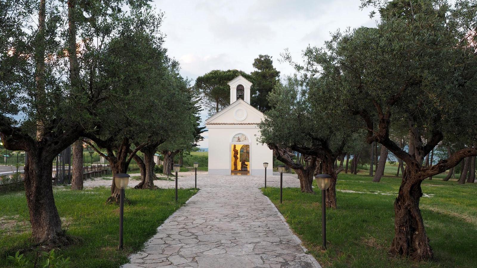 Olmo delle Stimmate